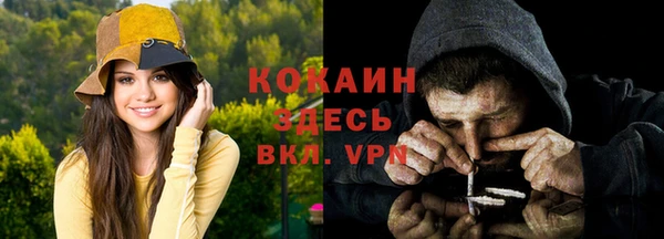 индика Иннополис