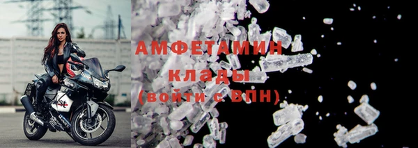 индика Инсар