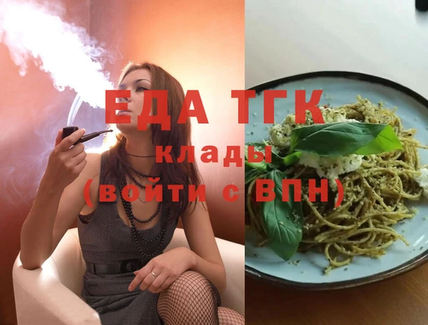 индика Иннополис
