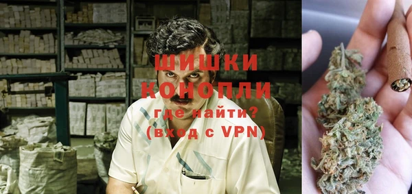 винт Инта