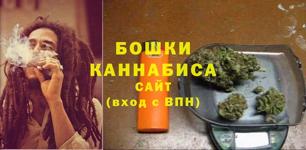 индика Иннополис