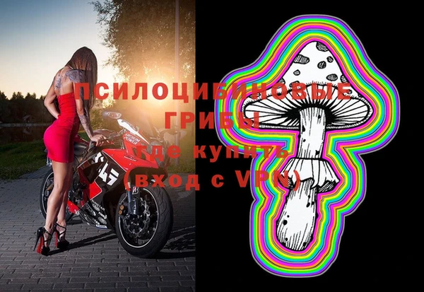винт Инта