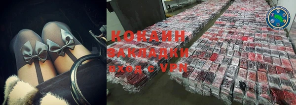 индика Инсар