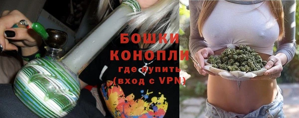 индика Иннополис