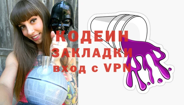 индика Инсар