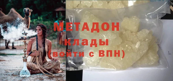 индика Инсар