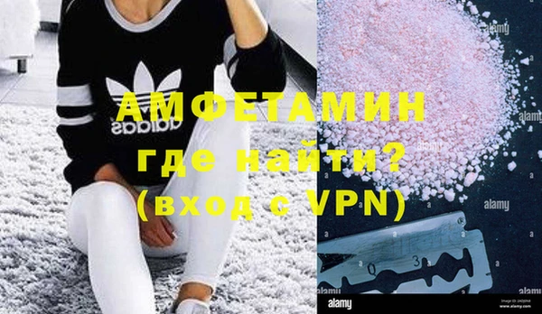 индика Инсар