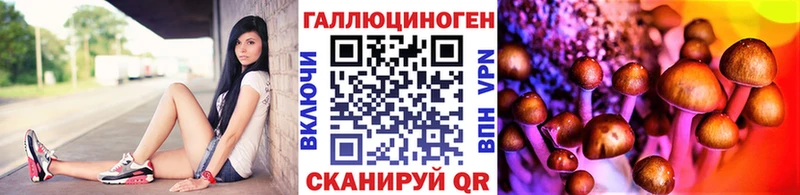 Псилоцибиновые грибы мухоморы  Купить закладки  Верхний Тагил 